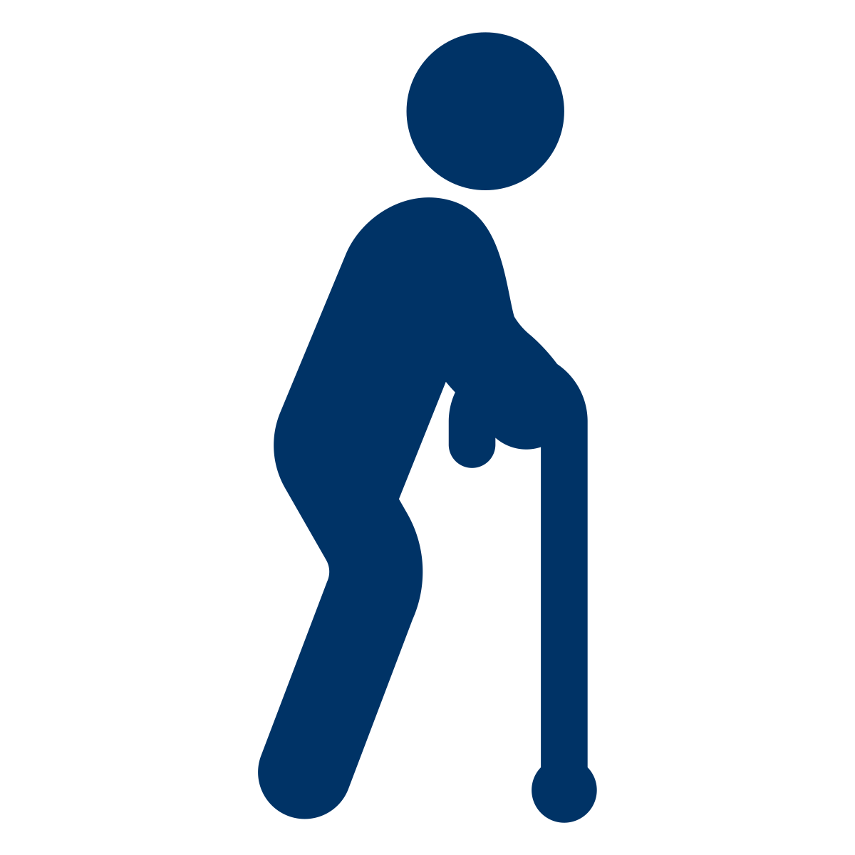 Icon representing the Physically Disabled Resource (PDR)